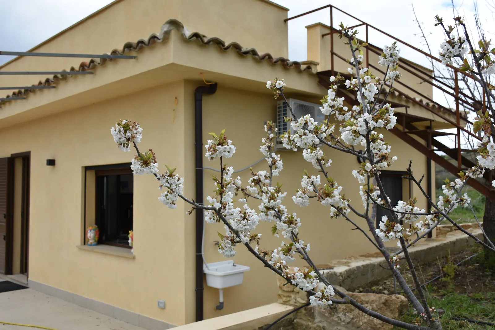 La casa col ciliegio in fiore davanti